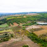 Teren agricol de vânzare – Strășeni
