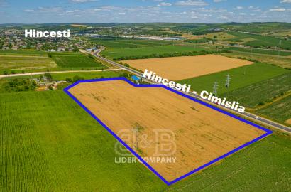 Teren agricol  de vânzare - Hîncești
