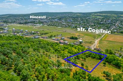 Teren agricol de vânzare - Hîncești