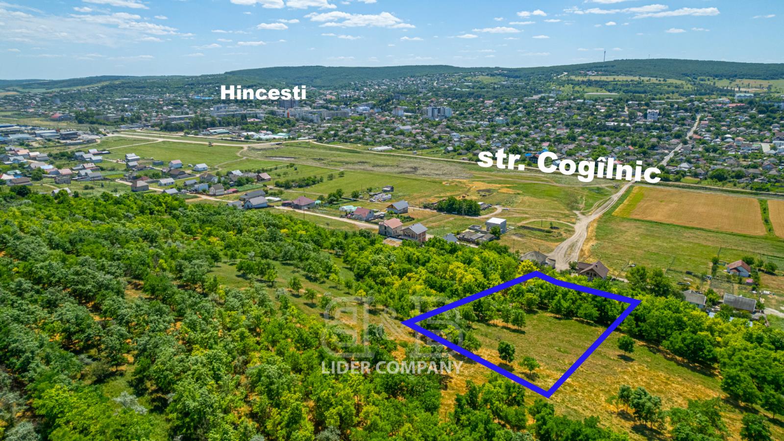 Teren agricol de vânzare - Hîncești
