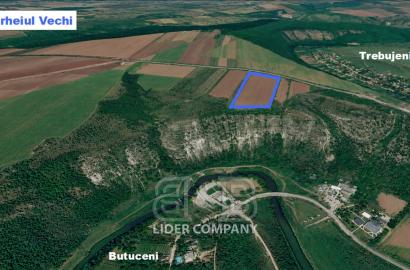 Teren Agricol de vânzare - Orhei